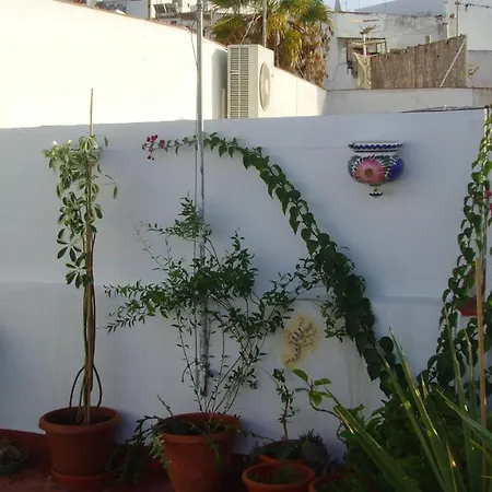 Atico..centrico Gran Terraza *